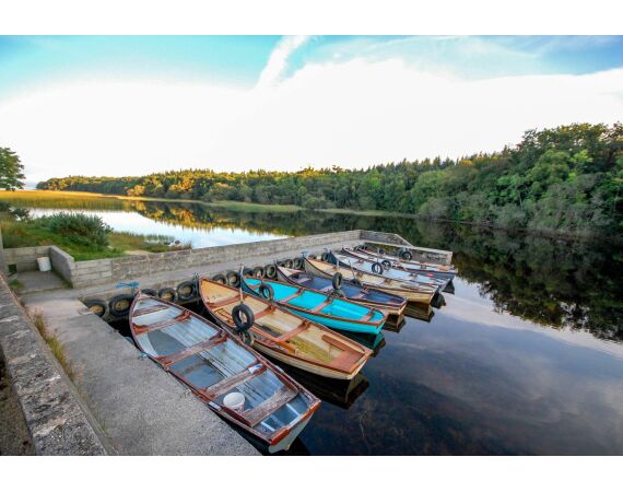 Drowes salmon Ireland