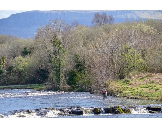 Drowes salmon Ireland
