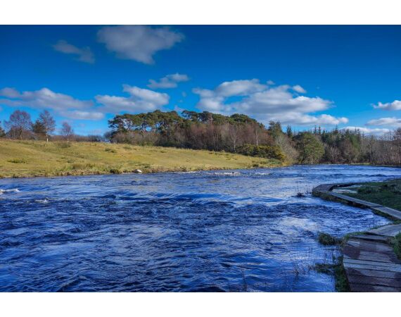 Drowes salmon Ireland