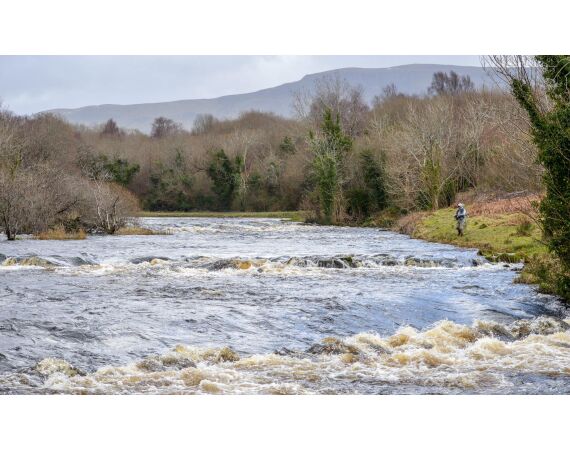 Drowes salmon Ireland