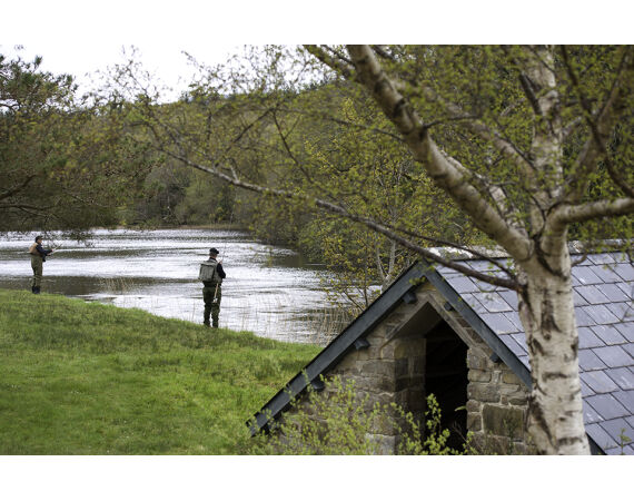 Drowes salmon Ireland