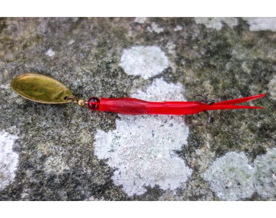 Drowes salmon Ireland