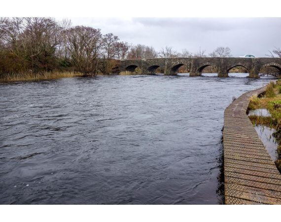 Drowes salmon Ireland