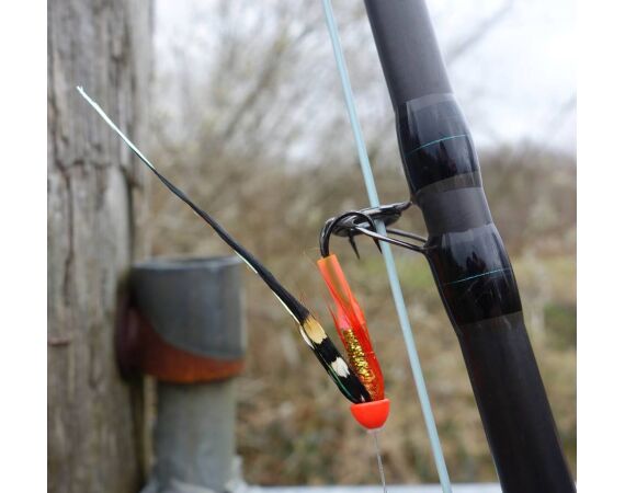 Drowes salmon Ireland