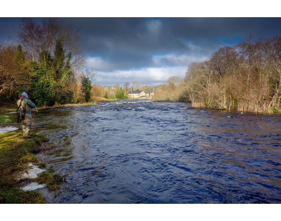 Drowes salmon Ireland