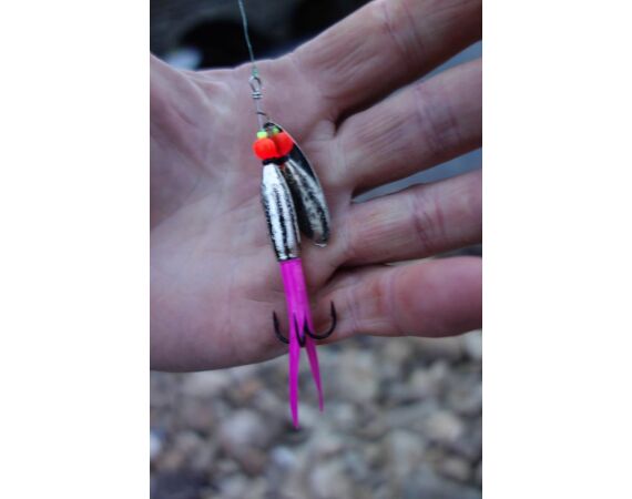 Drowes salmon Ireland