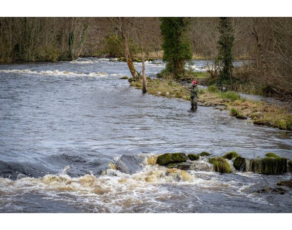 Drowes salmon Ireland