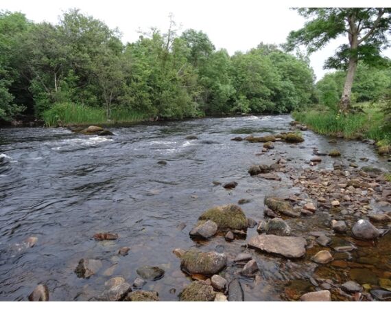 Drowes salmon Ireland