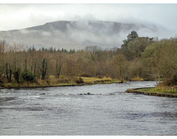 Drowes salmon Ireland