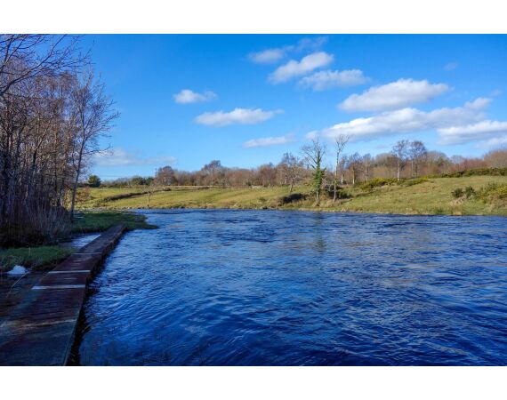 Drowes salmon Ireland