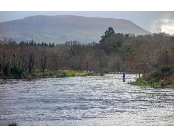 Drowes salmon Ireland