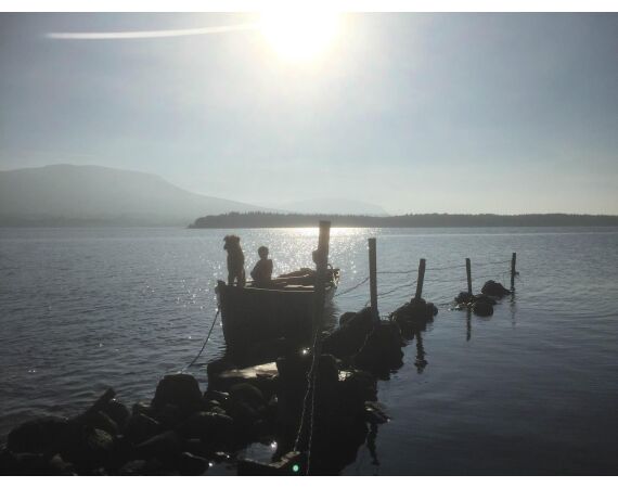 Drowes salmon Ireland