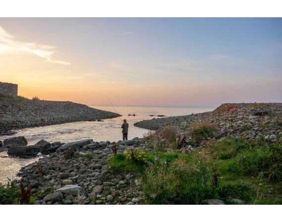 Drowes salmon Ireland