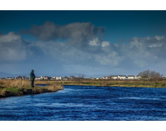 Drowes salmon Ireland