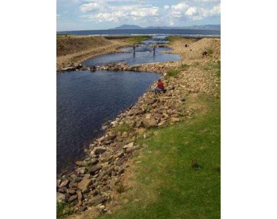 Drowes salmon Ireland