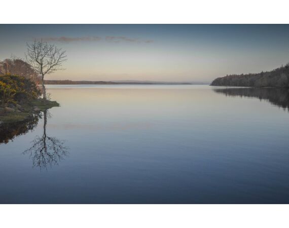 Drowes salmon Ireland