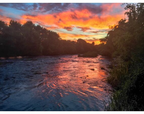 Drowes salmon Ireland