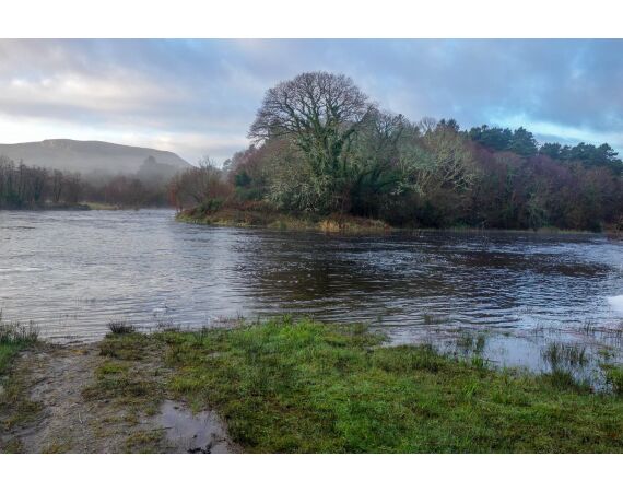 Drowes salmon Ireland