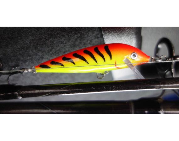 Drowes salmon Ireland