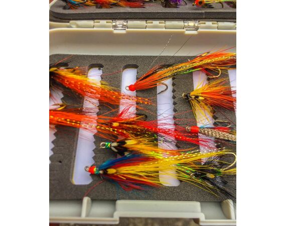 Drowes salmon Ireland