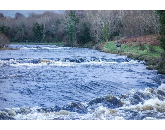 Drowes salmon Ireland