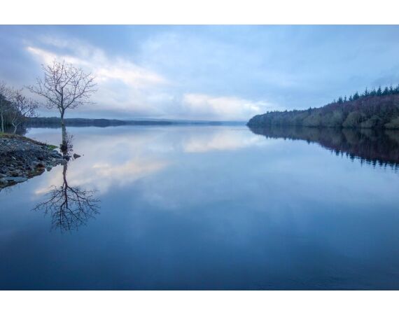 Drowes salmon Ireland