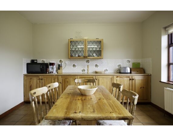 Drowes salmon Ireland