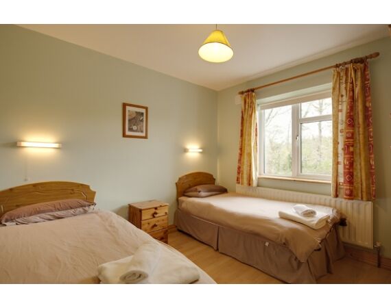 Drowes salmon Ireland