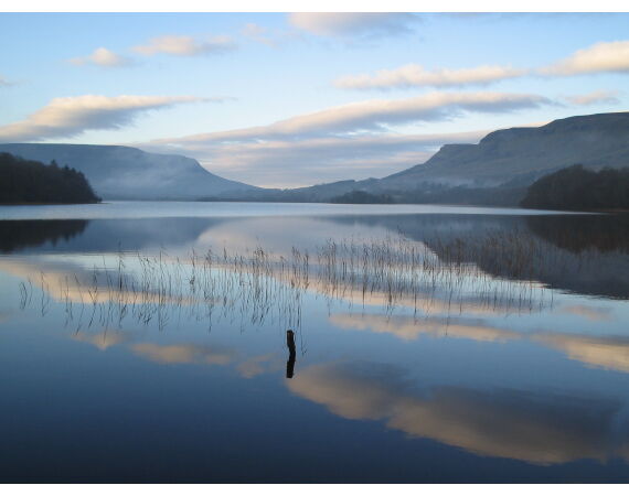 Drowes salmon Ireland