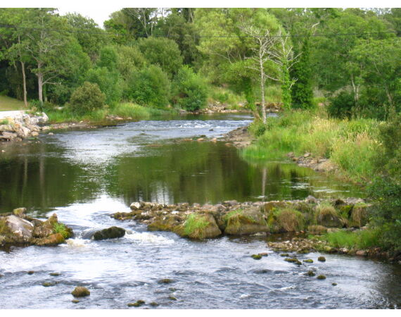 Drowes salmon Ireland