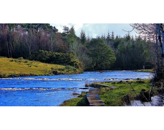 Drowes salmon Ireland