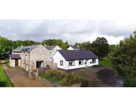 Drowes salmon Ireland