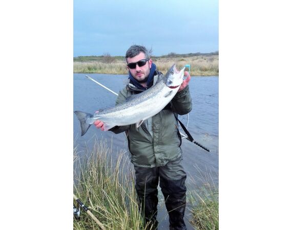 Drowes salmon Ireland