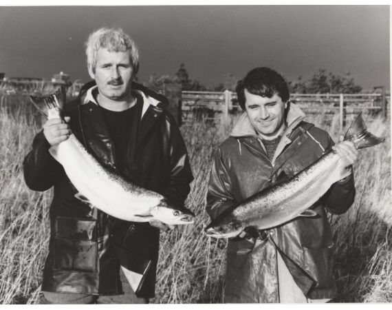 Drowes salmon Ireland