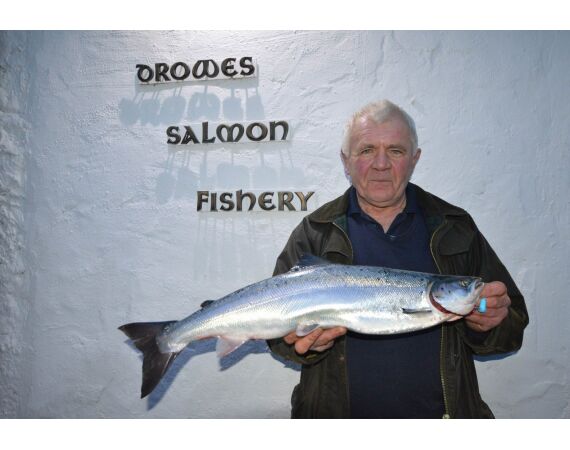 Drowes salmon Ireland