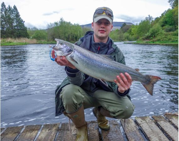 Drowes salmon Ireland