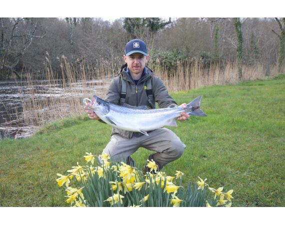 Drowes salmon Ireland