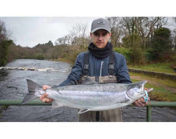 Drowes salmon Ireland