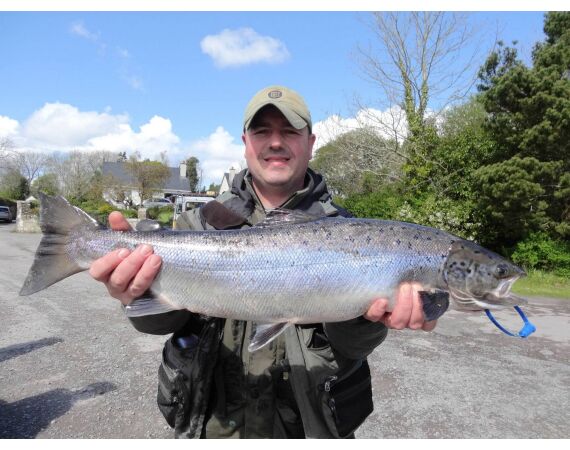 Drowes salmon Ireland