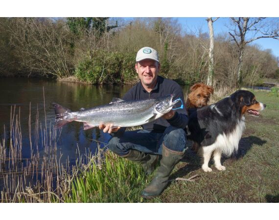 Drowes salmon Ireland