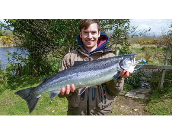Drowes salmon Ireland