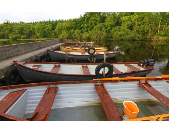 Drowes salmon Ireland