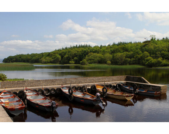 Drowes salmon Ireland