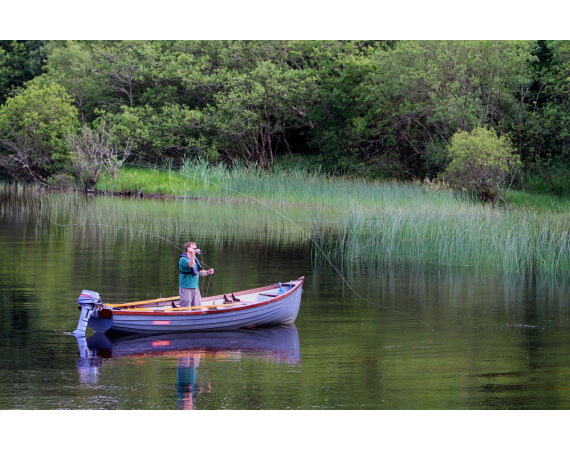 Drowes salmon Ireland