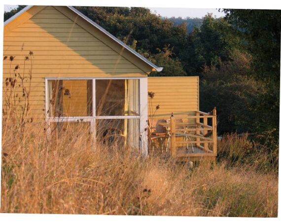 Moen, Denmark seatrout 