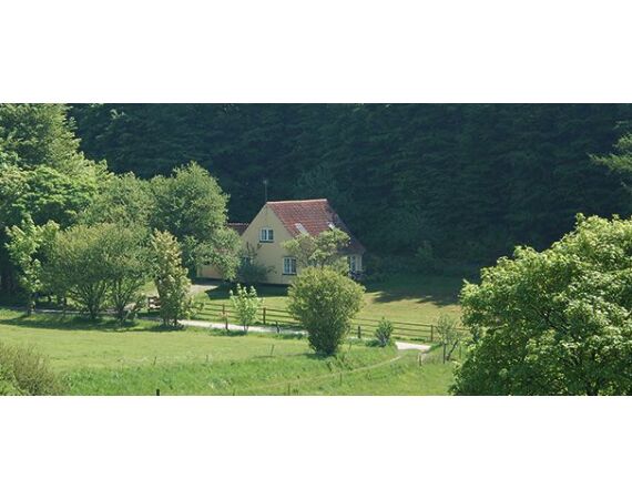 Moen, Denmark seatrout 