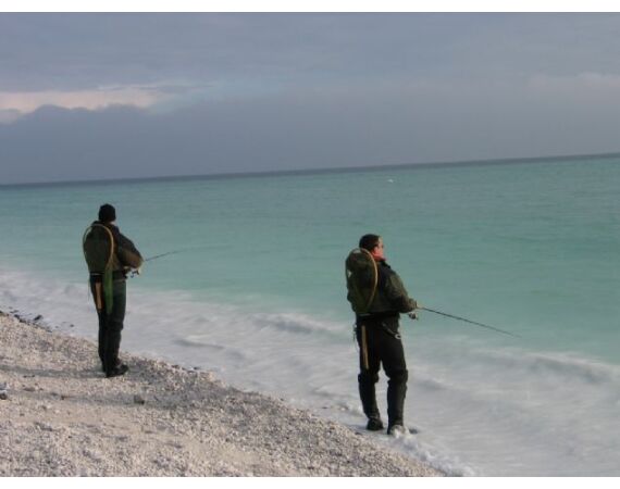 Moen, Denmark seatrout 