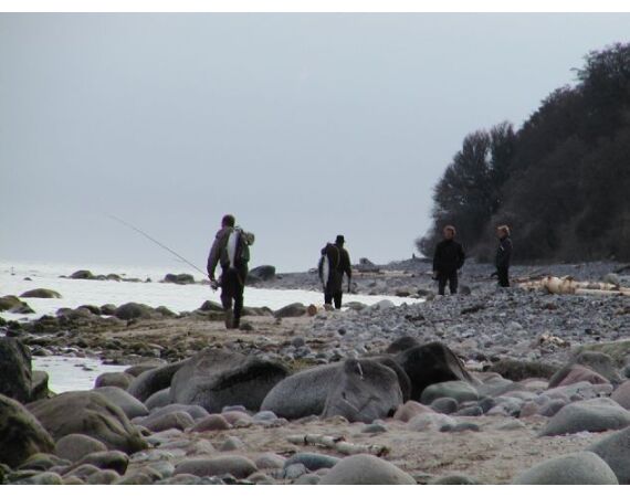 Moen, Denmark seatrout 