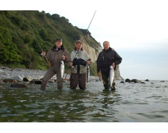 Moen, Denmark seatrout 