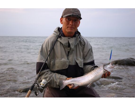 Moen, Denmark seatrout 